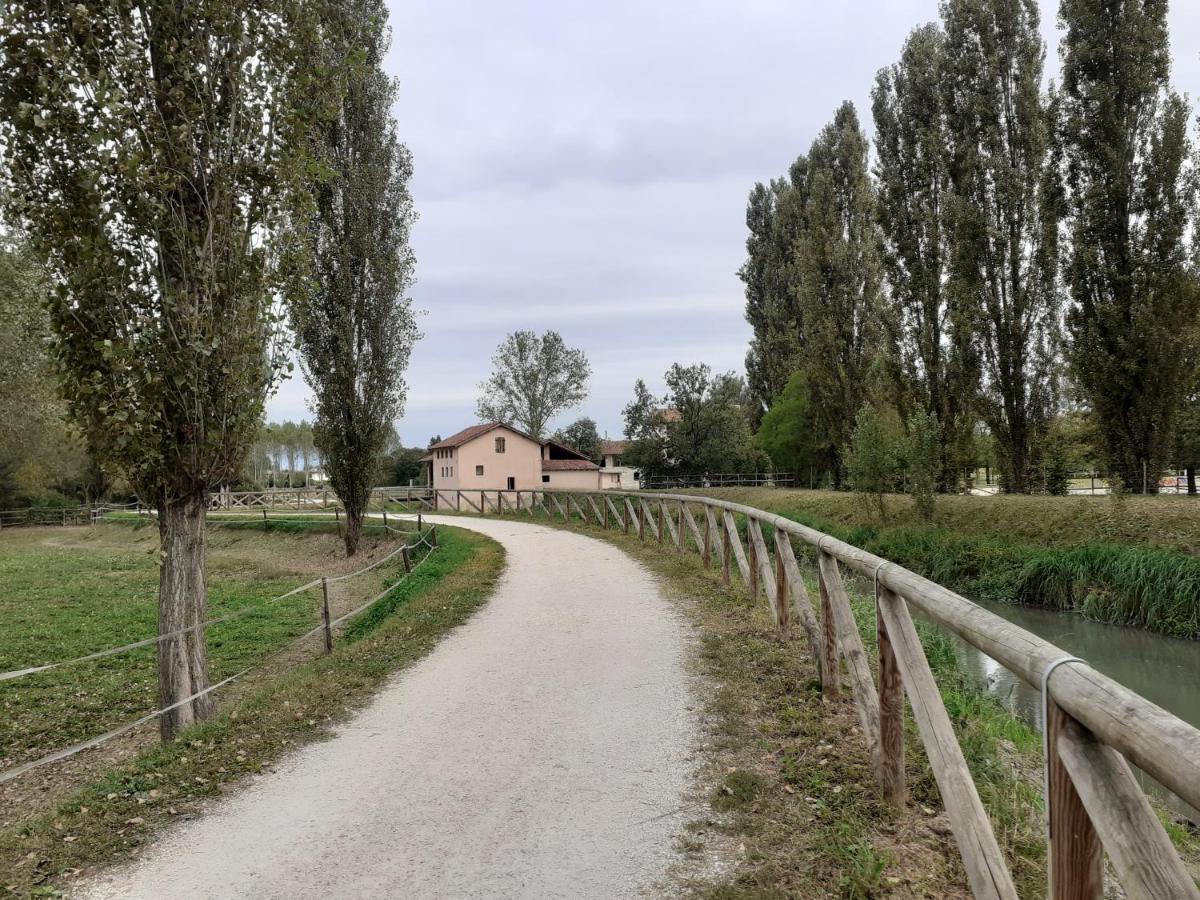 La Casa Di Anna Apartman Scorzè Kültér fotó